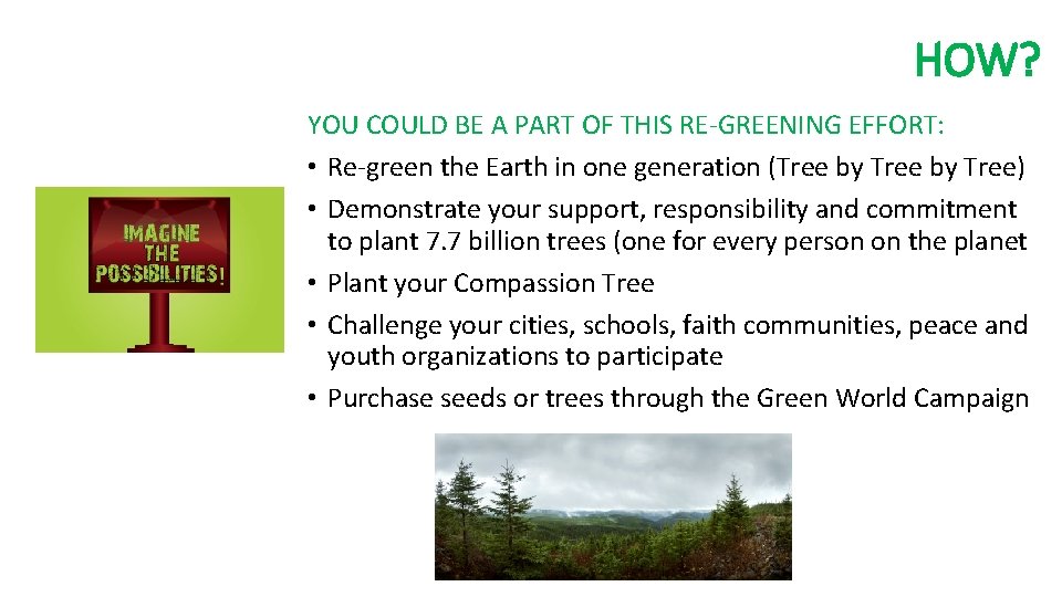 HOW? YOU COULD BE A PART OF THIS RE-GREENING EFFORT: • Re-green the Earth