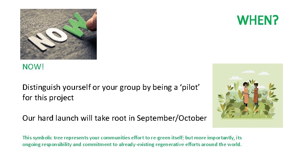 WHEN? NOW! Distinguish yourself or your group by being a ‘pilot’ for this project