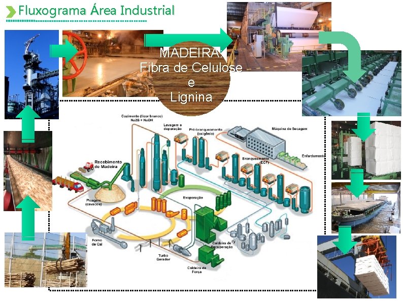 Fluxograma Área Industrial MADEIRA: Fibra de Celulose e Lignina 