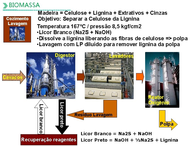 BIOMASSA Cozimento Lavagem Madeira = Celulose + Lignina + Extrativos + Cinzas Objetivo: Separar