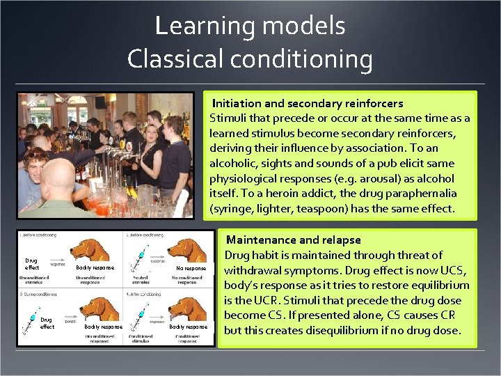 Learning models Classical conditioning Initiation and secondary reinforcers Stimuli that precede or occur at