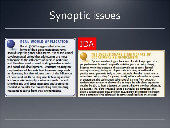 Synoptic issues IDA 