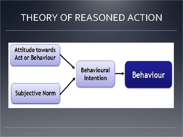 THEORY OF REASONED ACTION 