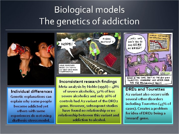 Biological models The genetics of addiction Inconsistent research findings Individual differences Genetic explanations can