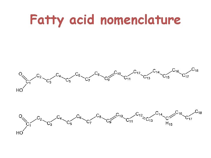 Fatty acid nomenclature 