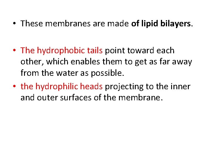  • These membranes are made of lipid bilayers. • The hydrophobic tails point