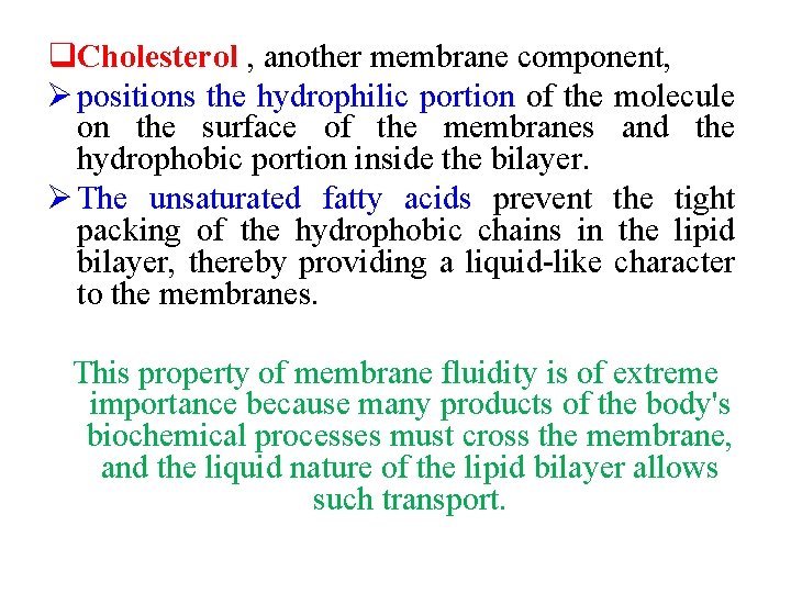 q. Cholesterol , another membrane component, Ø positions the hydrophilic portion of the molecule