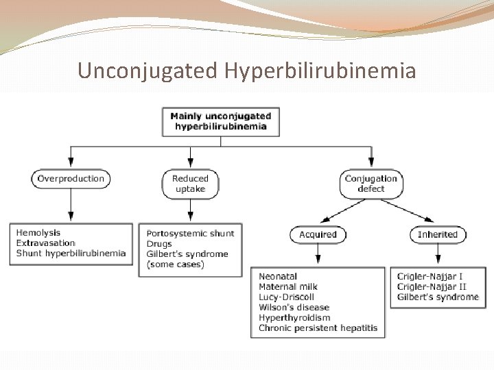 Unconjugated Hyperbilirubinemia 