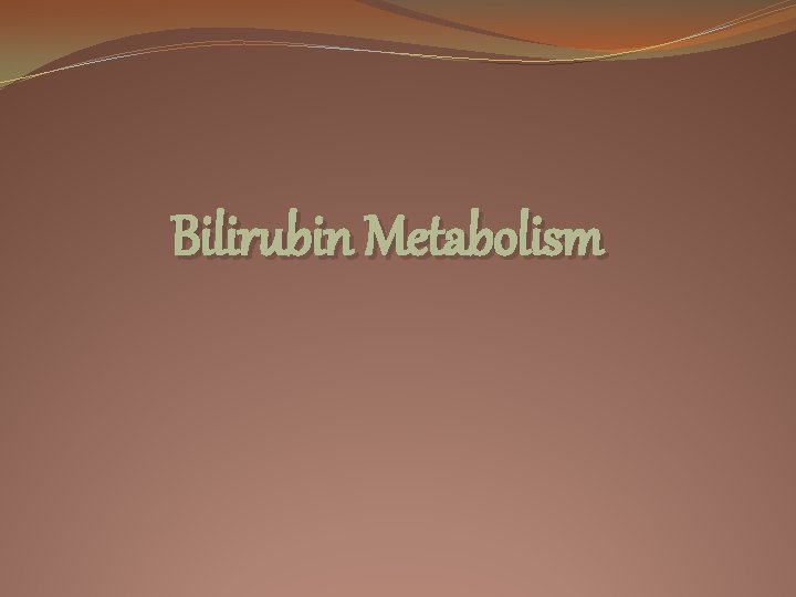 Bilirubin Metabolism 