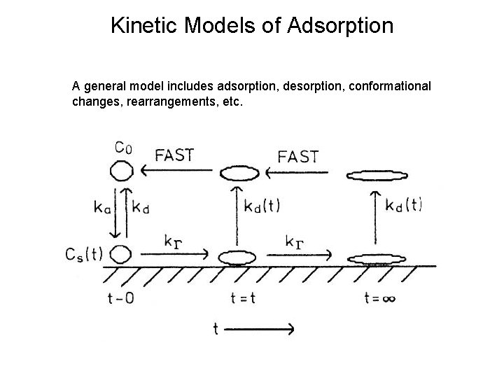 Kinetic Models of Adsorption A general model includes adsorption, desorption, conformational changes, rearrangements, etc.