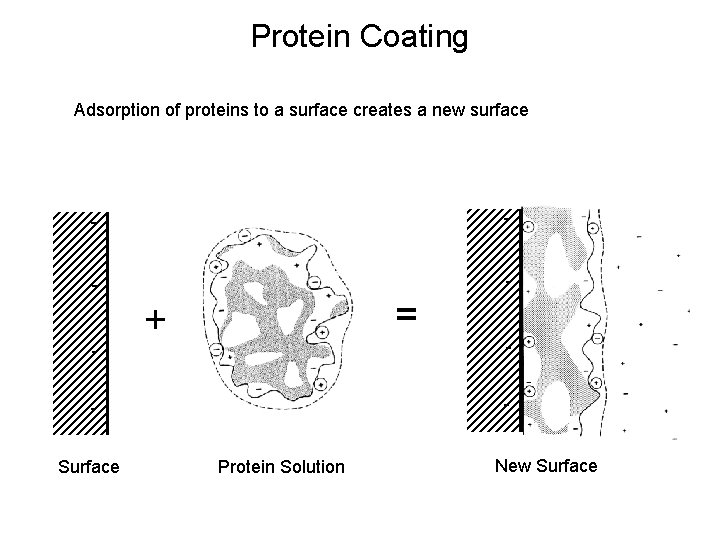 Protein Coating Adsorption of proteins to a surface creates a new surface - -