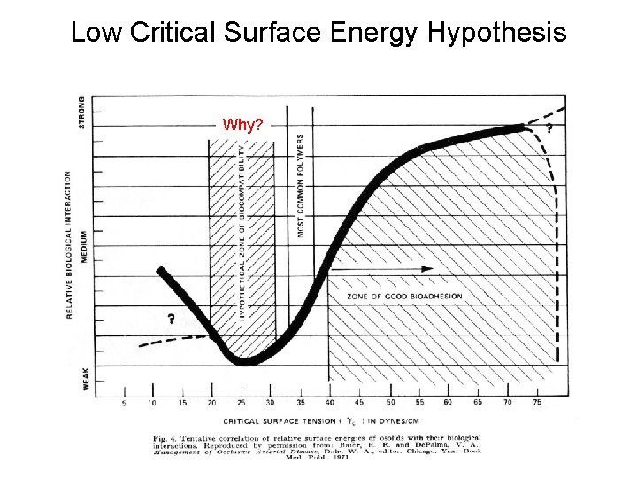 Low Critical Surface Energy Hypothesis Why? 