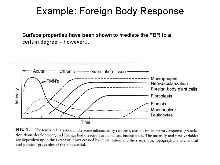 Example: Foreign Body Response Surface properties have been shown to mediate the FBR to