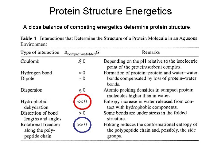 Protein Structure Energetics A close balance of competing energetics determine protein structure. 