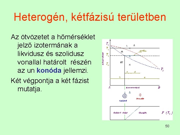 Heterogén, kétfázisú területben Az ötvözetet a hőmérséklet jelző izotermának a likvidusz és szolidusz vonallal