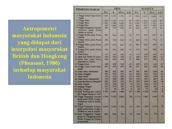 Antropometri masyarakat Indonesia yang didapat dari interpolasi masyarakat British dan Hongkong (Pheasant, 1986) terhadap