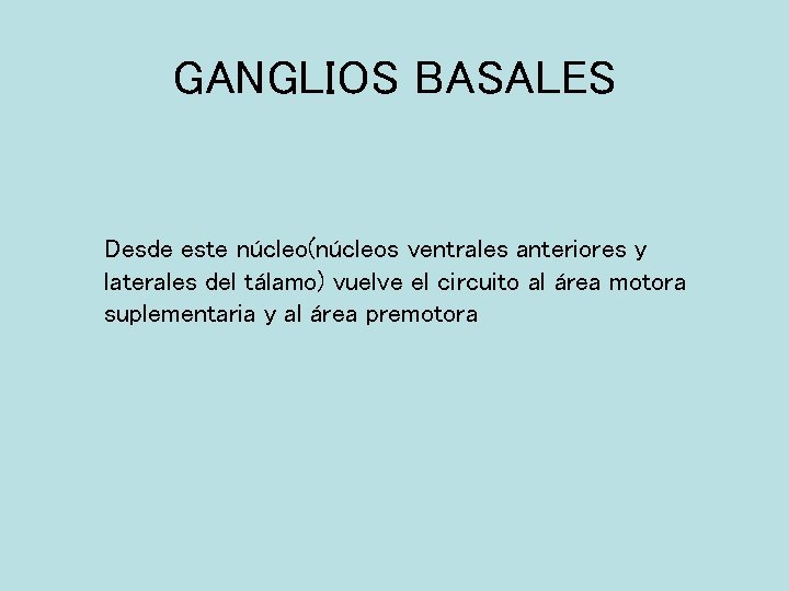 GANGLIOS BASALES Desde este núcleo(núcleos ventrales anteriores y laterales del tálamo) vuelve el circuito
