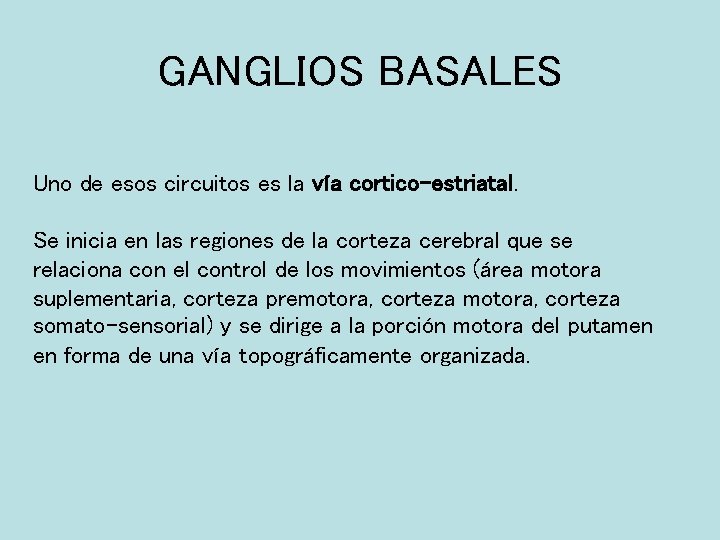 GANGLIOS BASALES Uno de esos circuitos es la vía cortico-estriatal. Se inicia en las