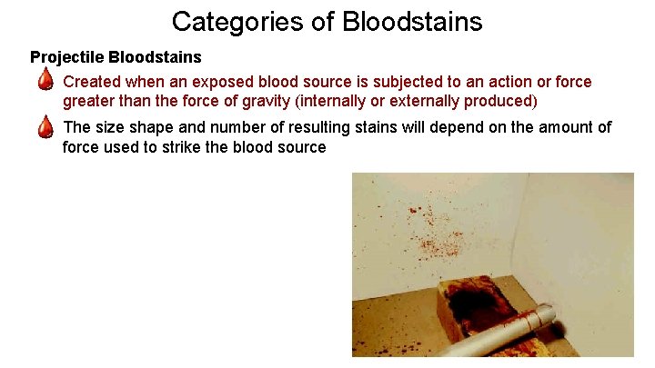 Categories of Bloodstains Projectile Bloodstains - Created when an exposed blood source is subjected
