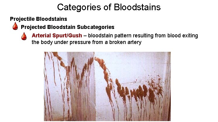 Categories of Bloodstains Projectile Bloodstains - Projected Bloodstain Subcategories - Arterial Spurt/Gush – bloodstain