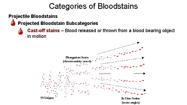 Categories of Bloodstains Projectile Bloodstains - Projected Bloodstain Subcategories - Cast-off stains – Blood