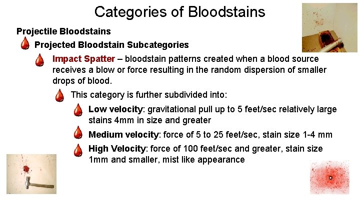 Categories of Bloodstains Projectile Bloodstains - Projected Bloodstain Subcategories - Impact Spatter – bloodstain
