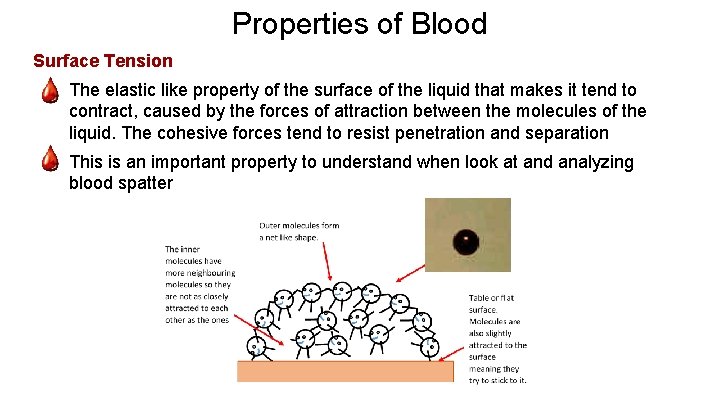 Properties of Blood Surface Tension - The elastic like property of the surface of