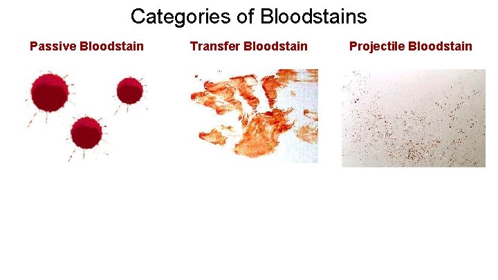 Categories of Bloodstains Passive Bloodstain Transfer Bloodstain Projectile Bloodstain 