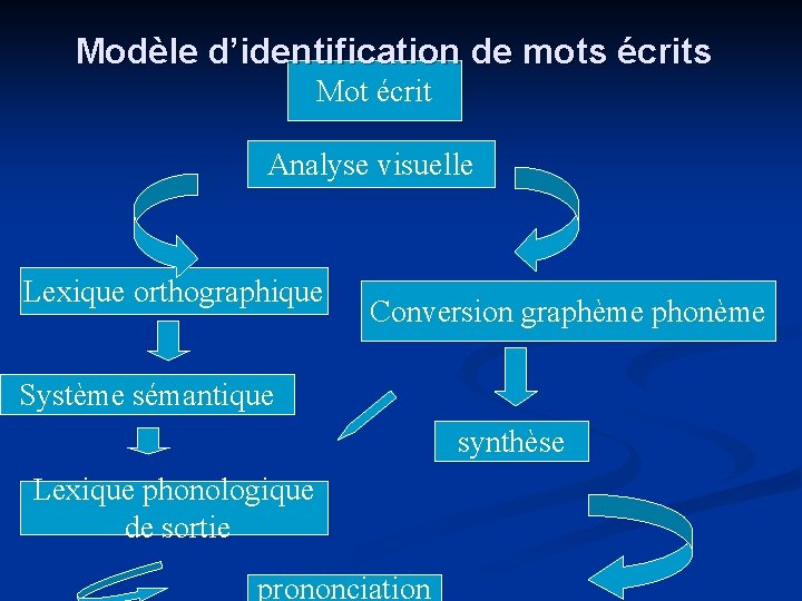 Modèle d’identification de mots écrits Mot écrit Analyse visuelle Lexique orthographique Conversion graphème phonème