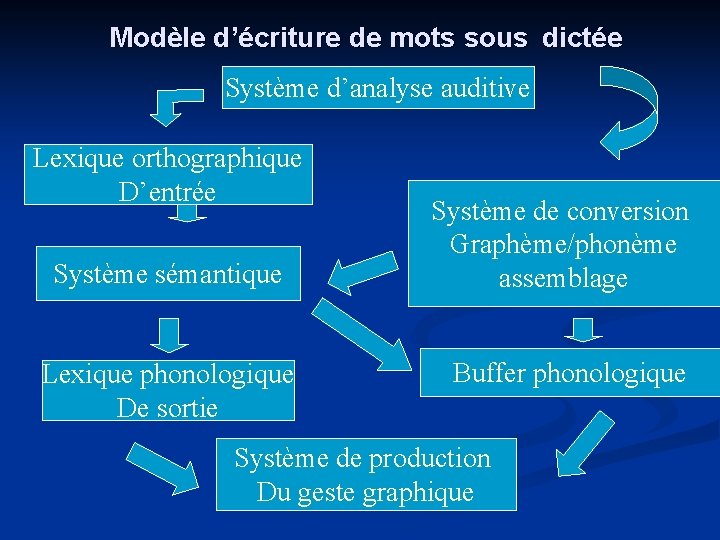 Modèle d’écriture de mots sous dictée Système d’analyse auditive Lexique orthographique D’entrée Système sémantique