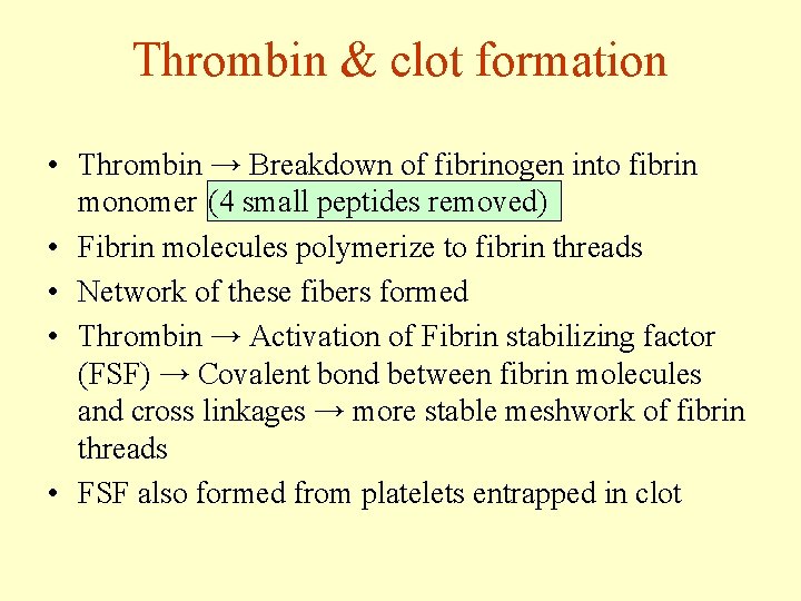 Thrombin & clot formation • Thrombin → Breakdown of fibrinogen into fibrin monomer (4