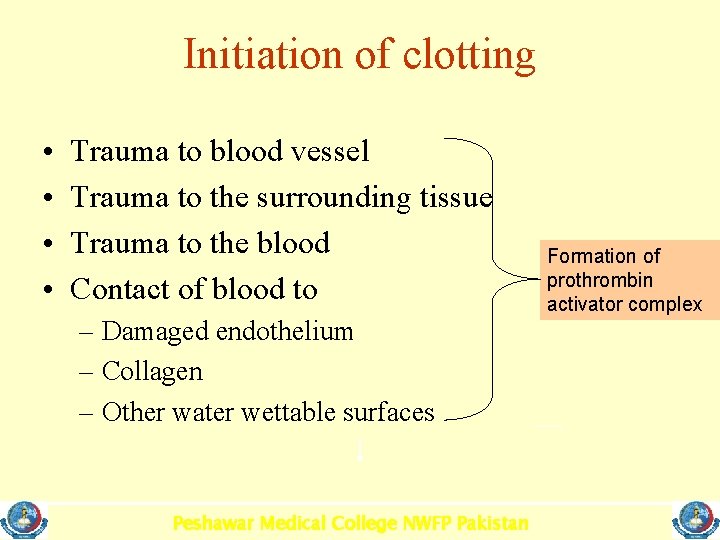 Initiation of clotting • • Trauma to blood vessel Trauma to the surrounding tissue