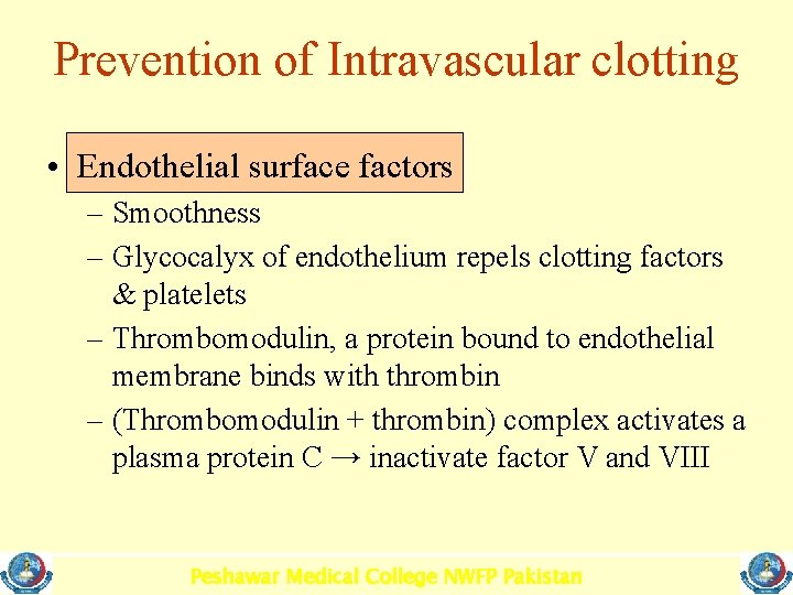 Prevention of Intravascular clotting • Endothelial surface factors – Smoothness – Glycocalyx of endothelium