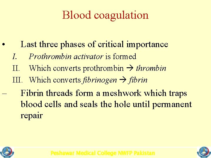 Blood coagulation • Last three phases of critical importance I. Prothrombin activator is formed