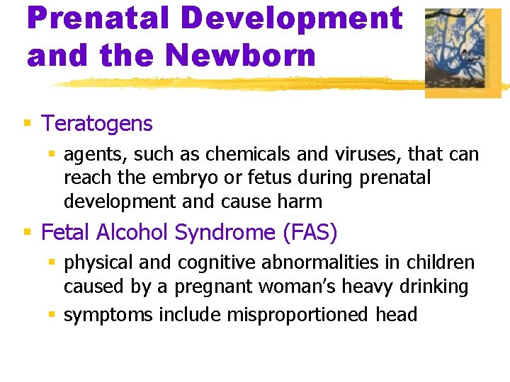 Prenatal Development and the Newborn § Teratogens § agents, such as chemicals and viruses,