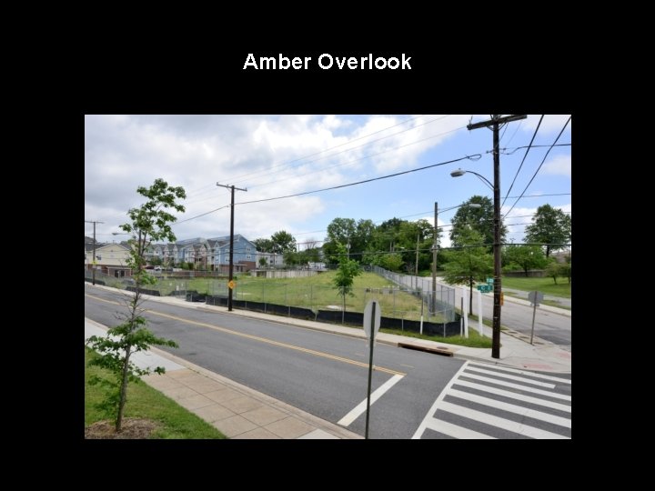 Amber Overlook 