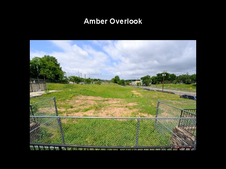 Amber Overlook 