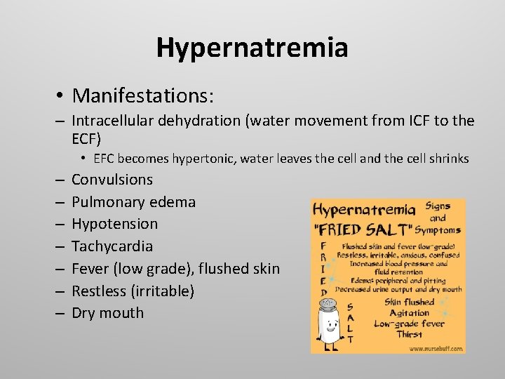 Hypernatremia • Manifestations: – Intracellular dehydration (water movement from ICF to the ECF) •