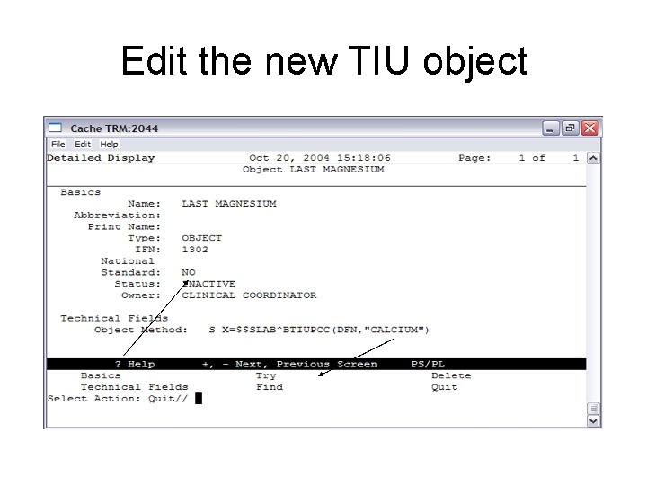 Edit the new TIU object 