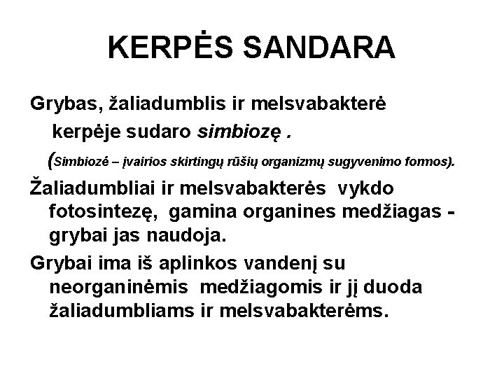 KERPĖS SANDARA Grybas, žaliadumblis ir melsvabakterė kerpėje sudaro simbiozę. (Simbiozė – įvairios skirtingų rūšių