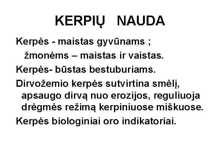 KERPIŲ NAUDA Kerpės - maistas gyvūnams ; žmonėms – maistas ir vaistas. Kerpės- būstas