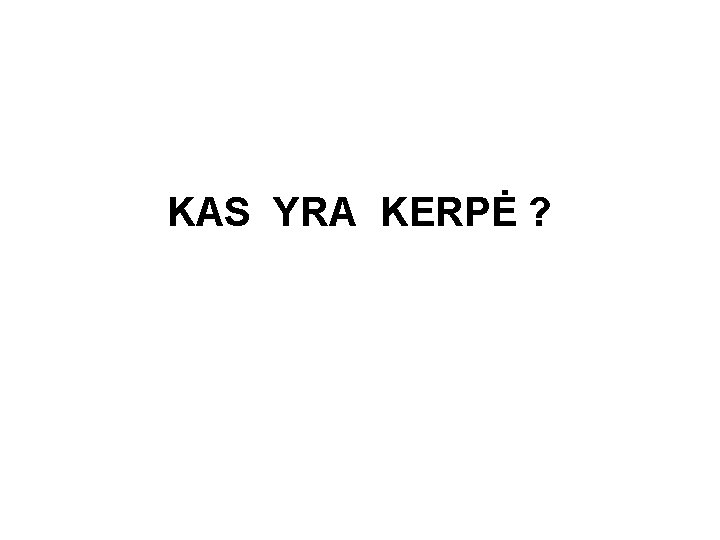 KAS YRA KERPĖ ? 