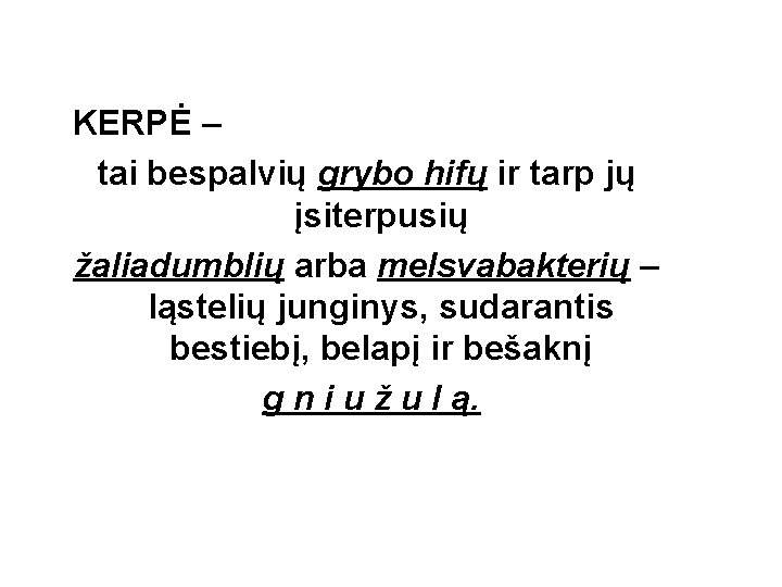 KERPĖ – tai bespalvių grybo hifų ir tarp jų įsiterpusių žaliadumblių arba melsvabakterių –