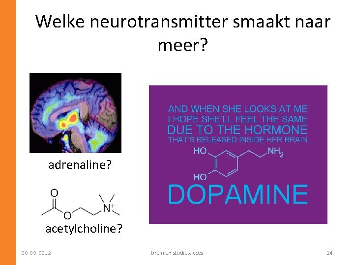 Welke neurotransmitter smaakt naar meer? adrenaline? acetylcholine? 20 -09 -2012 brein en studiesucces 14