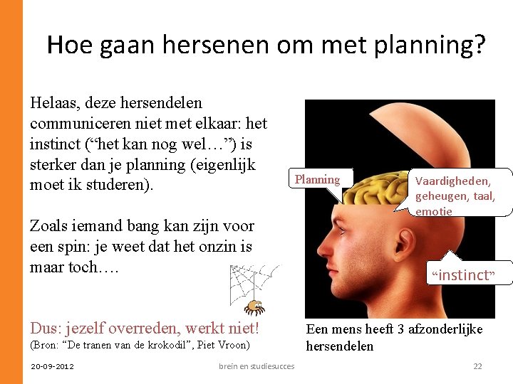 Hoe gaan hersenen om met planning? Helaas, deze hersendelen communiceren niet met elkaar: het