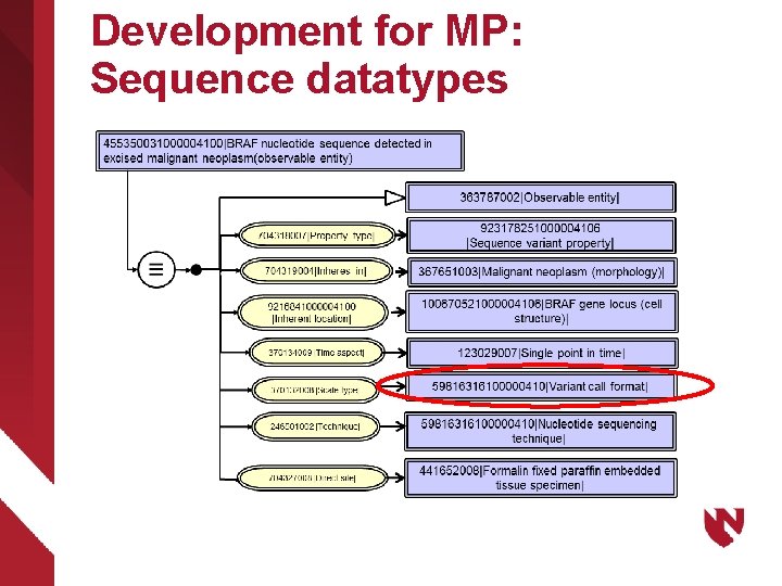Development for MP: Sequence datatypes 