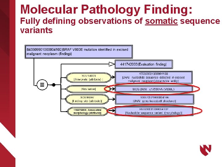 Molecular Pathology Finding: Fully defining observations of somatic sequence variants 