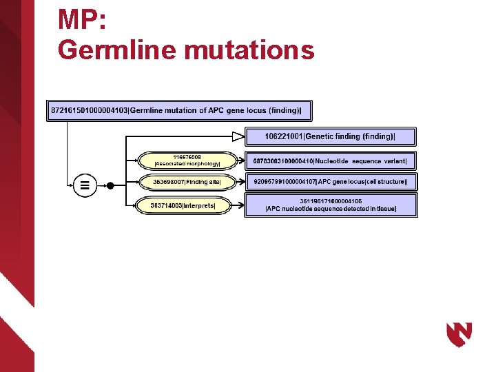 MP: Germline mutations 