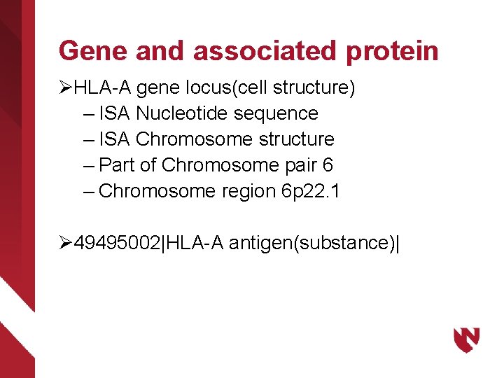 Gene and associated protein ØHLA-A gene locus(cell structure) – ISA Nucleotide sequence – ISA