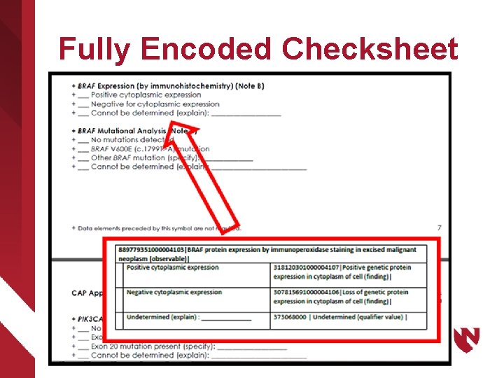 Fully Encoded Checksheet 